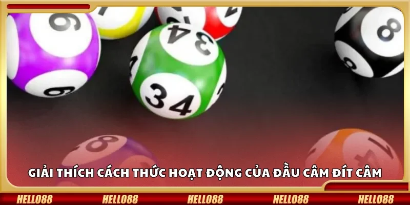 Giải thích cách thức hoạt động của đầu câm đít câm