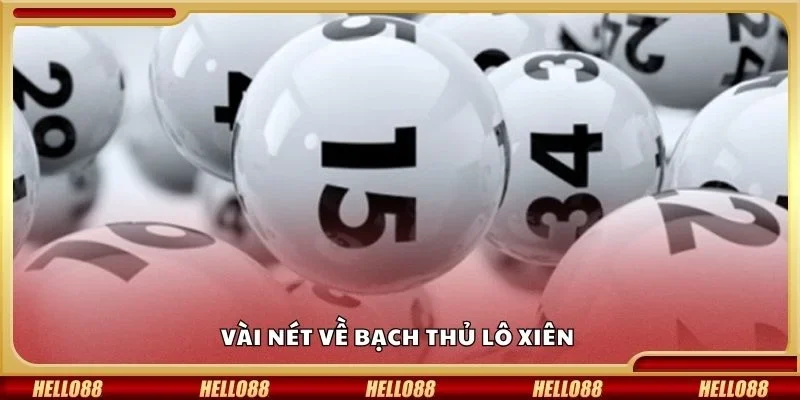 Vài nét về bạch thủ lô xiên