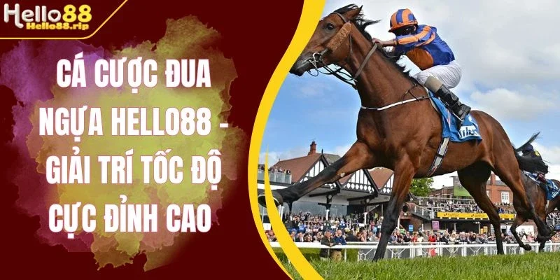 Gợi ý kèo Win hấp dẫn cho tân thủ mới bắt đầu