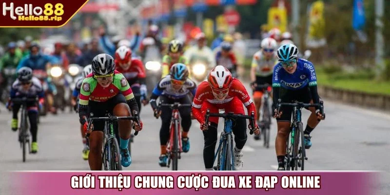 Giới thiệu chung cược đua xe đạp online