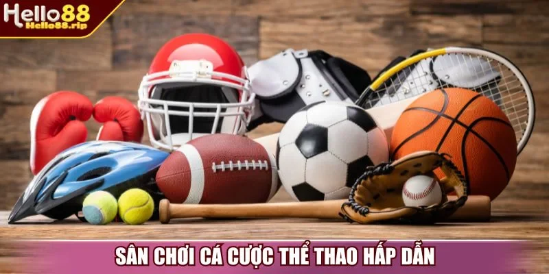 Sân chơi cá cược thể thao hấp dẫn