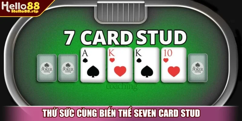 Thử sức cùng biến thể Seven Card Stud