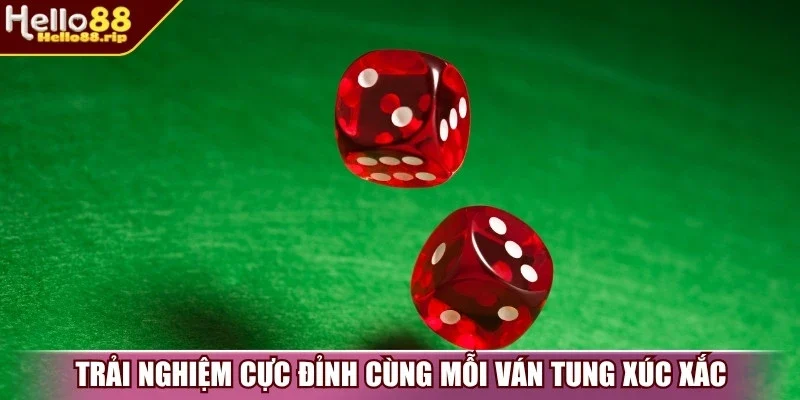 Trải nghiệm cực đỉnh cùng mỗi ván tung xúc xắc